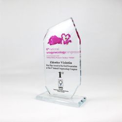 Fotona Recognized for Innovative Achievements in Gynecology